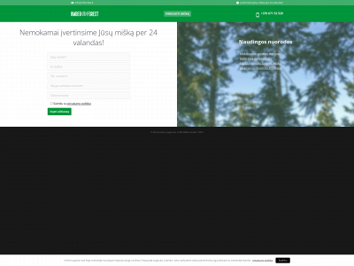 amberforest.lt snapshot