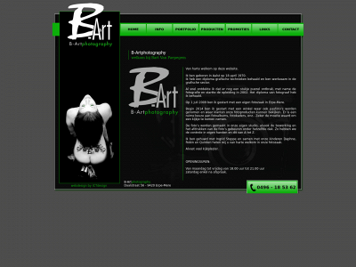 b-artphotography.be snapshot