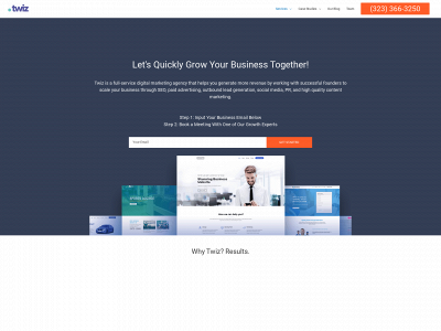 twiz.io snapshot