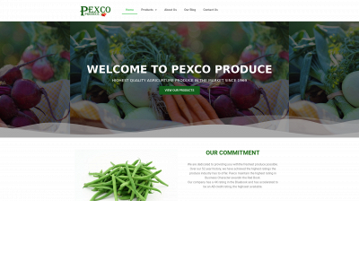 pexcotampa.com snapshot