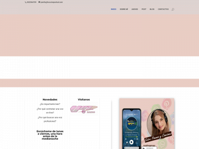 locucionpuntual.com snapshot