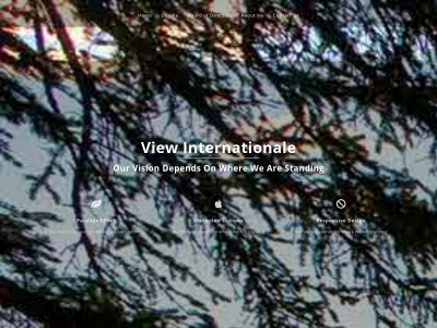 viewinternationale.org snapshot