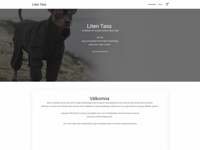 litentass.com snapshot