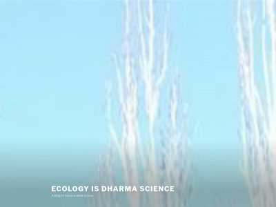 ecology-dharmascience.com snapshot