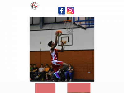 wiltshirebasketball.co.uk snapshot