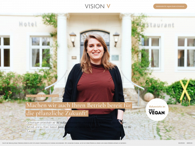 visionvconsulting.com snapshot