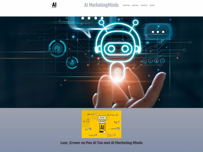 aimarketingminds.nl snapshot