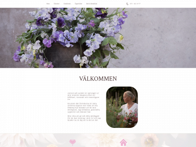 annlin.se snapshot