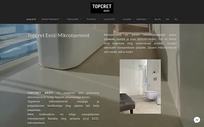 www.eestimikrotsement.ee snapshot