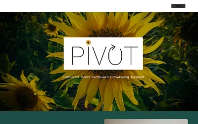 pivot-loopbaancoaching.nl snapshot