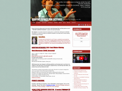 www.theauditioncoach.com snapshot