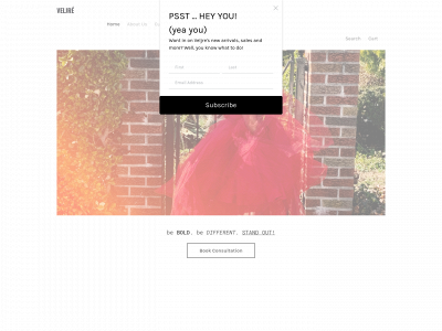 www.veljre.com snapshot