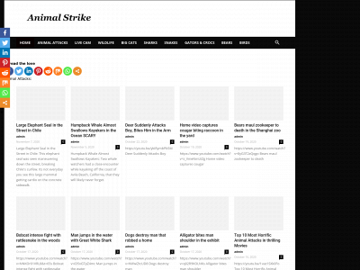 animalstrike.com snapshot