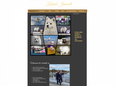 jamasti.simplesite.com snapshot