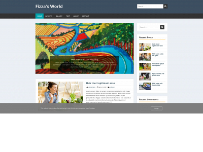 fizzashams.co.uk snapshot