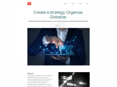 prime-international.ae snapshot
