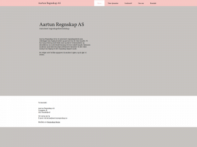 aartunregnskap.no snapshot