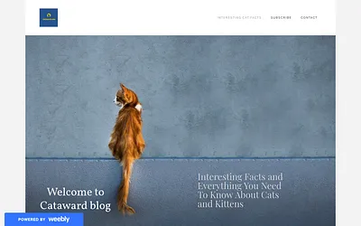 catandkittenfacts.weebly.com snapshot