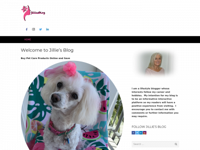 jilliesblog.com snapshot