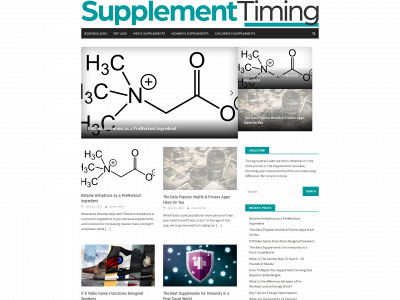 supplementtiming.com snapshot