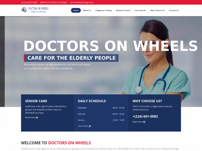 dowchicago.com snapshot