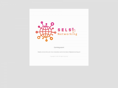 selsnetworking.com snapshot