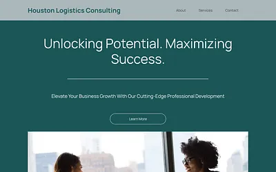 houstonlogisticsconsulting.com snapshot