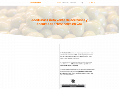 www.aceitunasfinita.com snapshot
