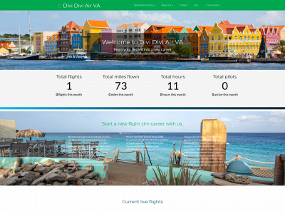 flydivi-va.com snapshot