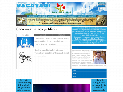 sacayagi.com snapshot