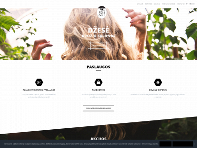 dzese.lt snapshot