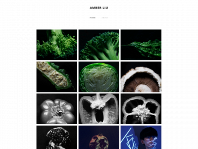 amberxliu.weebly.com snapshot