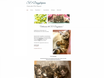 daggans.simplesite.com snapshot