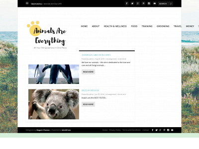 animalsareeverything.com snapshot