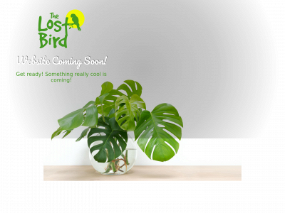 thelostbird.com snapshot