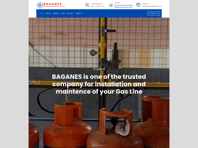 baganes.com snapshot