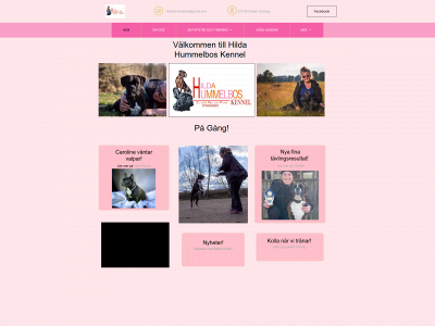 hildahummelbos.se snapshot