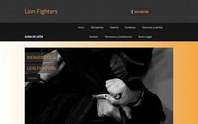 lionfightersmma.com snapshot