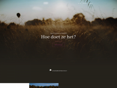 butterflybusiness.nl snapshot