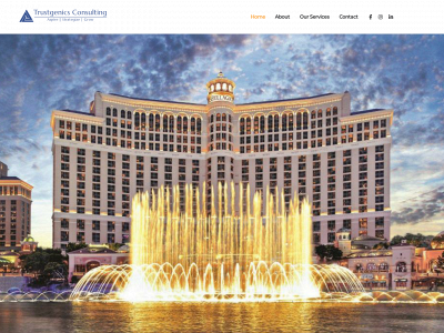 trustgenicsconsulting.com snapshot