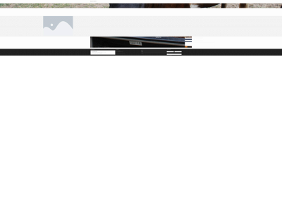 twistedhlonghorns.com snapshot