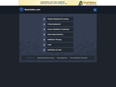 newslobe.com snapshot