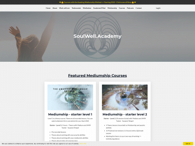 thephoenixfellowship.com snapshot