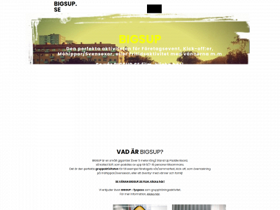 bigsup.se snapshot