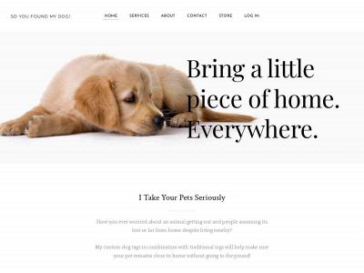 soyoufoundmydog.com snapshot