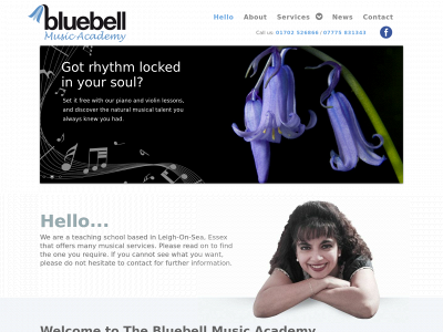bluebellmusicacademy.co.uk snapshot