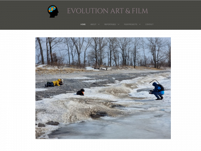 evolutionartandfilm.de snapshot