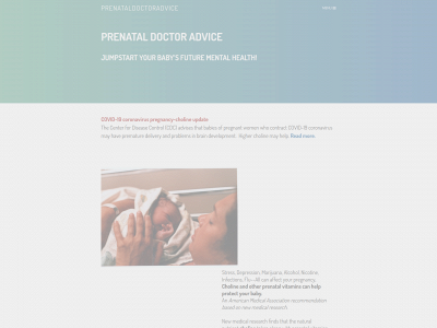 www.prenataldoctoradvice.com snapshot
