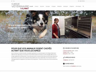 cvvalmont.com snapshot