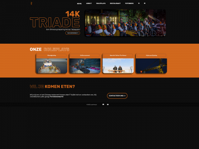 tdatriade.nl snapshot